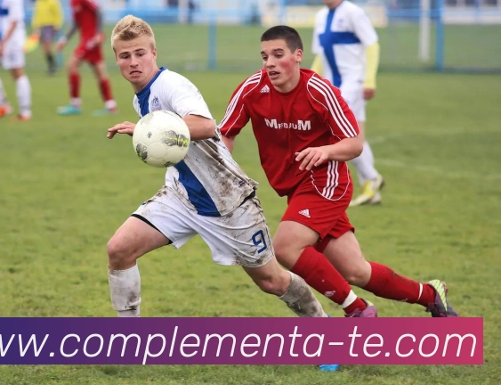 用户互动社区